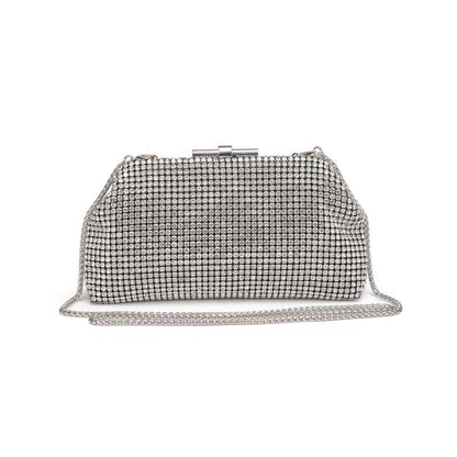 Delfina Evening Bag: Silver