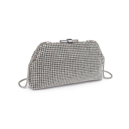Delfina Evening Bag: Silver